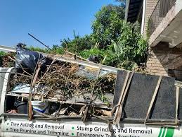 Best Residential Junk Removal  in Rossville, MD